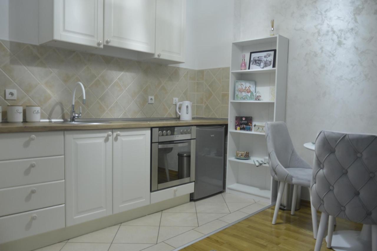 Apartmán Teodora Lux Apartman Free Privat Parking Novi Sad Exteriér fotografie